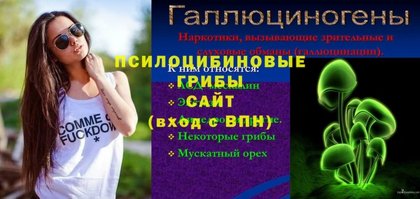 ГАЛЛЮЦИНОГЕННЫЕ ГРИБЫ Белоозёрский